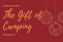 Load image into Gallery viewer, OVR eGift Card (Holiday Theme)