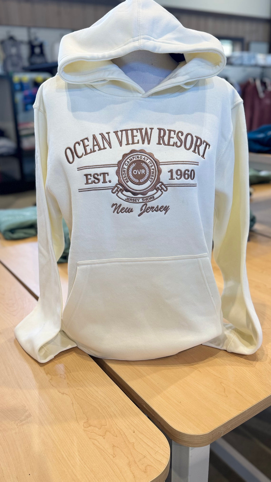 MEDALLION EMBROIDERED PULLOVER HOODIE