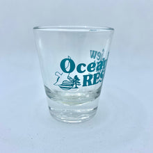 Load image into Gallery viewer, OVR SHOT GLASS
